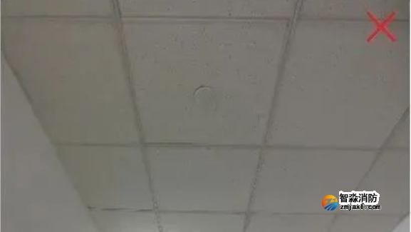 1701164932117579.png image.png