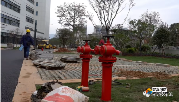 1701666915169756.png image.png