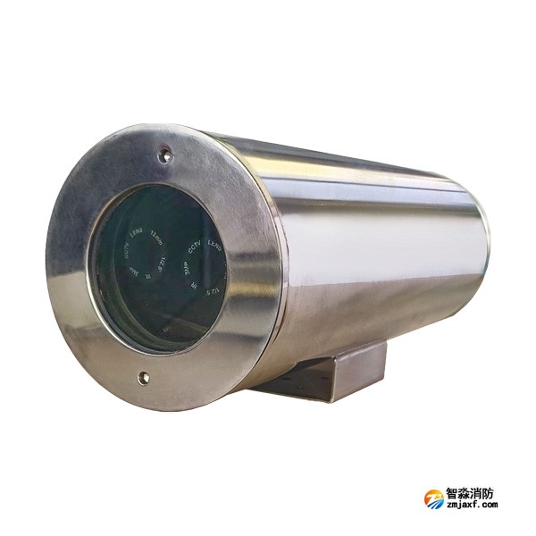 依爱VFD/F-EI8912/3Ex图像型火灾探测器