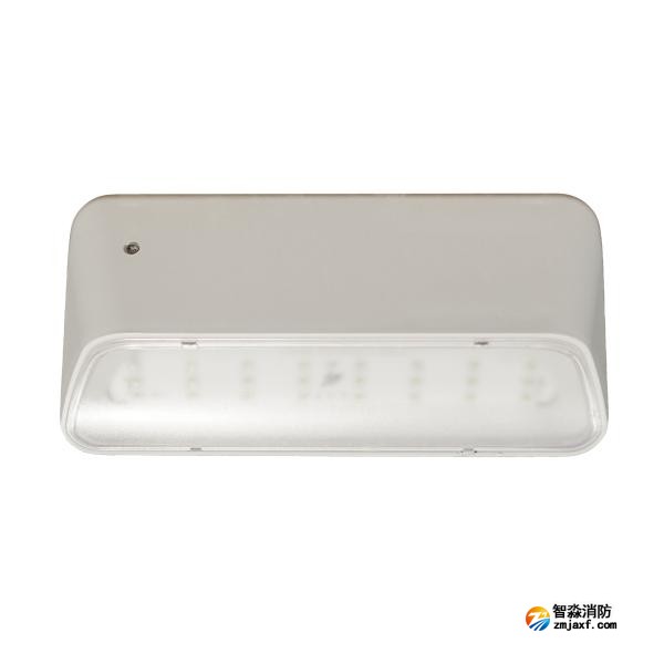 依爱EI-ZFJC-E5W-8645GB集中电源集中控制型消防应急照明灯具