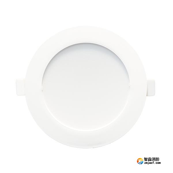 依爱EI-ZFJC-E8W-8648GQL集中电源集中控制型消防应急照明灯具 8W功率