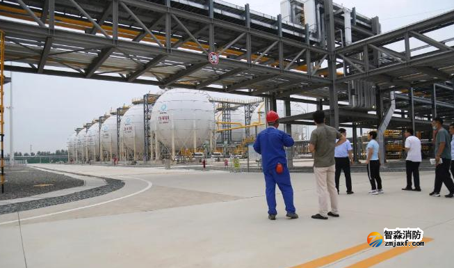 1740367326694279.png image.png