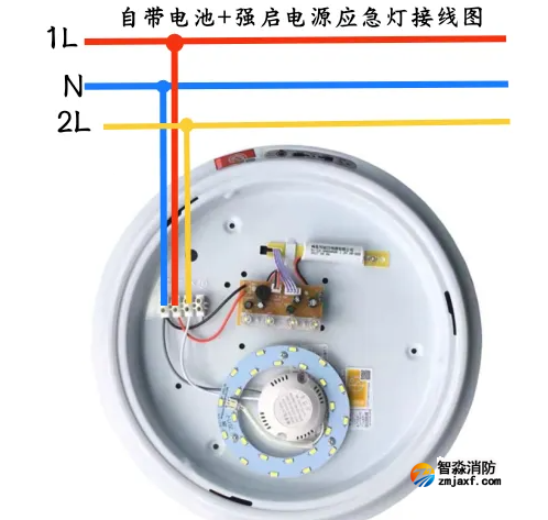 1742793981125377.png image.png