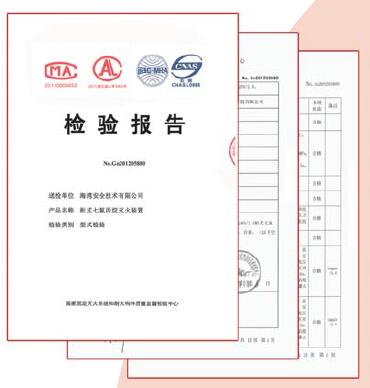 气体灭火检测报告